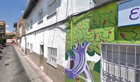Escuela Canicas